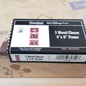 Disney Parks Exclusive Mickey Mouse Beveled Cherry 3 linked 4x6 hanging frames